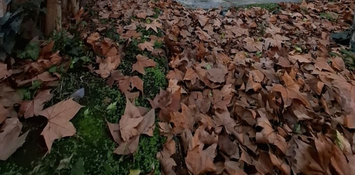 Image 1 sur 10 - Maison/villa  ·  Vente · Toulouse (31400) · 82m²