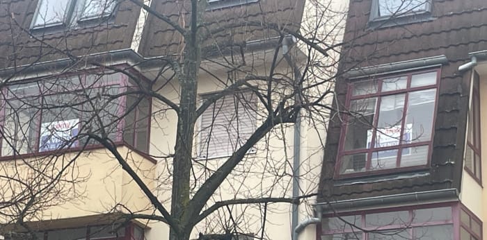 Image 1 sur 11 - Appartement  ·  Vente · Strasbourg (67200) · 91m²