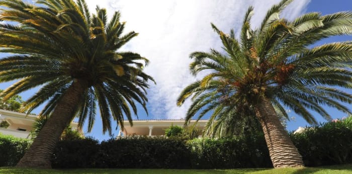 Image 11 sur 11 - Maison/villa  ·  Vente · Nice (06200) · 4 pièces · 90m²