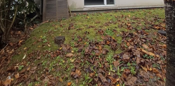 Image 12 sur 12 - Maison/villa  ·  Vente · Athis Mons (91200) · 6 pièces · 100m²