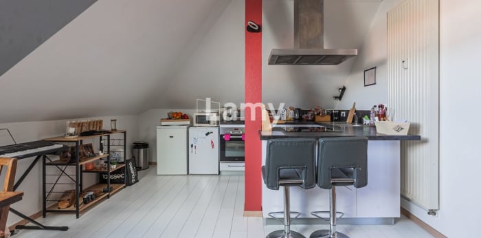 Image 4 sur 8 - Appartement  ·  Vente · Haguenau (67500) · 2 pièces · 45m²