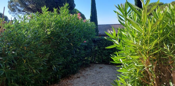 Image 15 sur 19 - Appartement  ·  Vente · Ste Maxime (83120)
