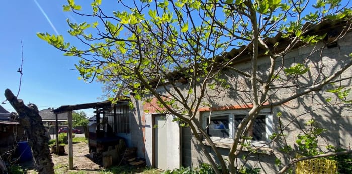 Image 8 sur 10 - Maison/villa  ·  Vente · Haguenau (67500) · 250m²