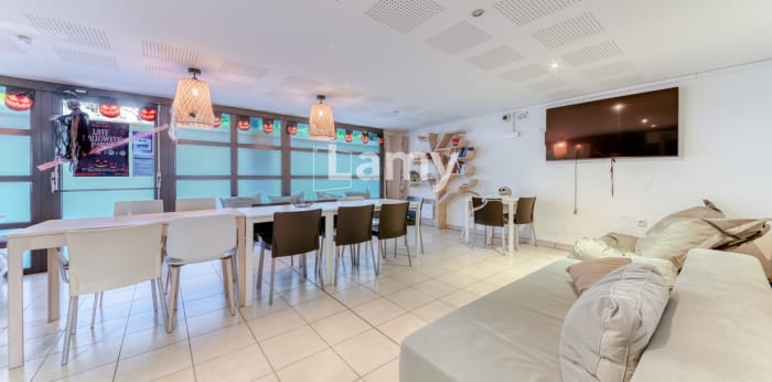 Image 4 sur 5 - Appartement  ·  Vente · Villeurbanne (69100) · 1 pièce · 18m²