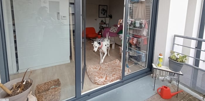 Image 3 sur 7 - Appartement  ·  Vente · Seignosse (40510) · 2 pièces · 42m²