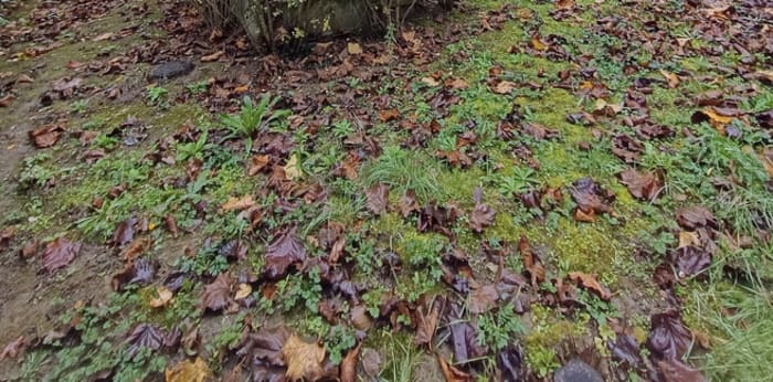 Image 3 sur 12 - Maison/villa  ·  Vente · Athis Mons (91200) · 6 pièces · 100m²