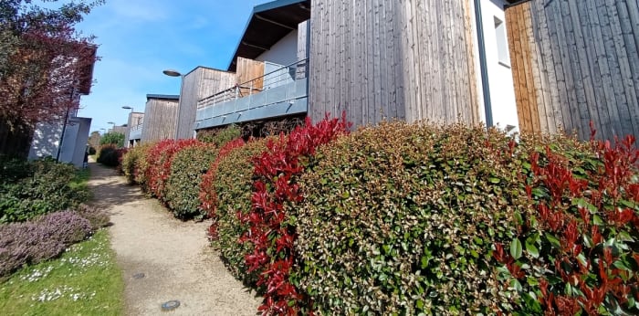 Image 6 sur 7 - Appartement  ·  Vente · Seignosse (40510) · 2 pièces · 42m²