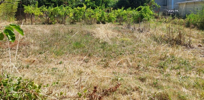 Image 3 sur 30 - Immeuble  ·  Vente · Ales (30100) · 235m²