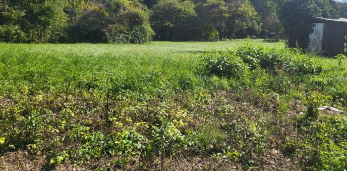 Image 1 sur 3 - Terrain  ·  Vente · Mery (73420) · 1255m²