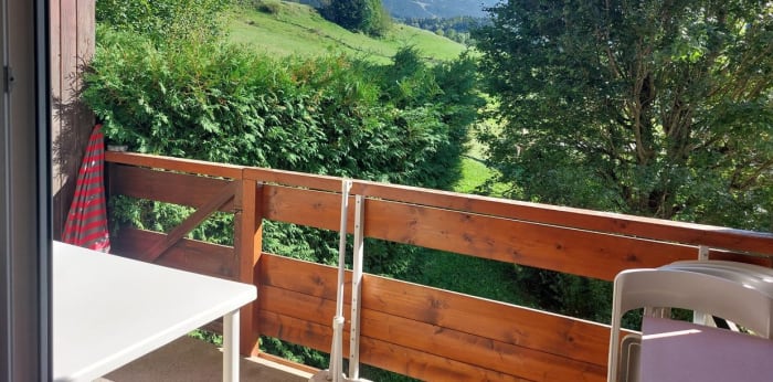 Image 1 sur 10 - Appartement  ·  Vente · Villard De Lans (38250) · 1 pièce · 28m²