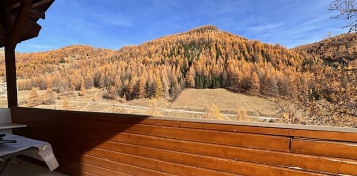 Image 2 sur 9 - Appartement  ·  Vente · Allos (04260) · 2 pièces · 18m²