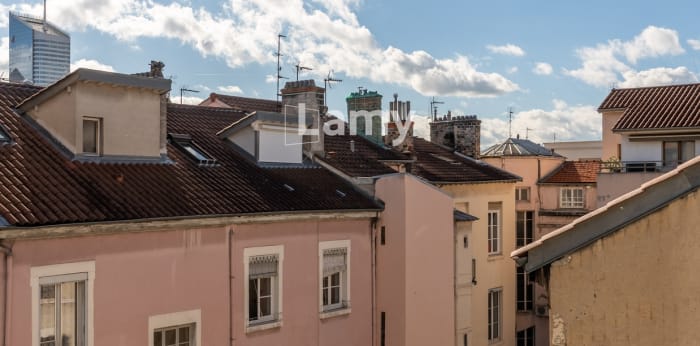 Image 5 sur 11 - Appartement  ·  Vente · Lyon (69006) · 1 pièce · 29m²