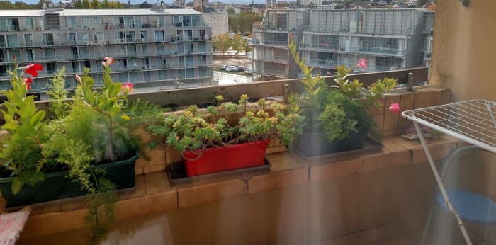 Image 2 sur 5 - Appartement  ·  Vente · Chalon Sur Saone (71100) · 2 pièces · 53m²
