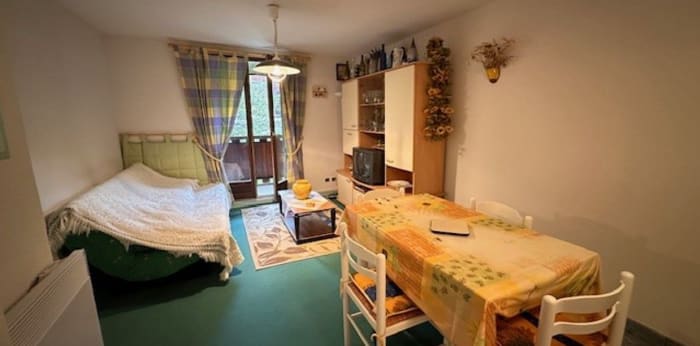 Image 2 sur 9 - Appartement  ·  Vente · Allos (04260) · 2 pièces · 34m²