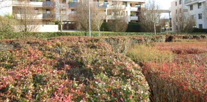 Image 8 sur 8 - Appartement  ·  Vente · Dijon (21000) · 1 pièce · 36m²