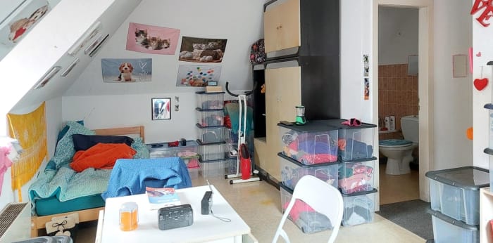 Image 4 sur 6 - Appartement  ·  Vente · Selestat (67600) · 1 pièce · 25m²