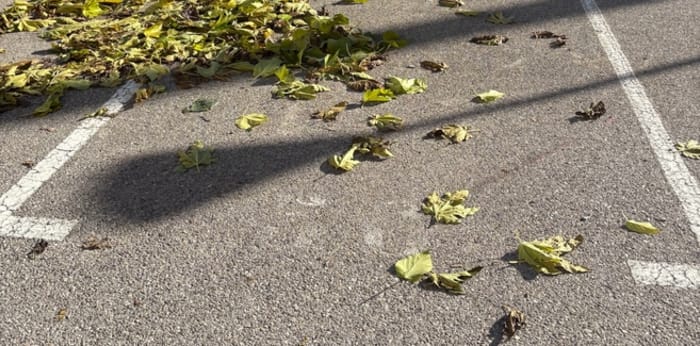 Image 15 sur 15 - Appartement  ·  Vente · Sisteron (04200) · 3 pièces · 64m²