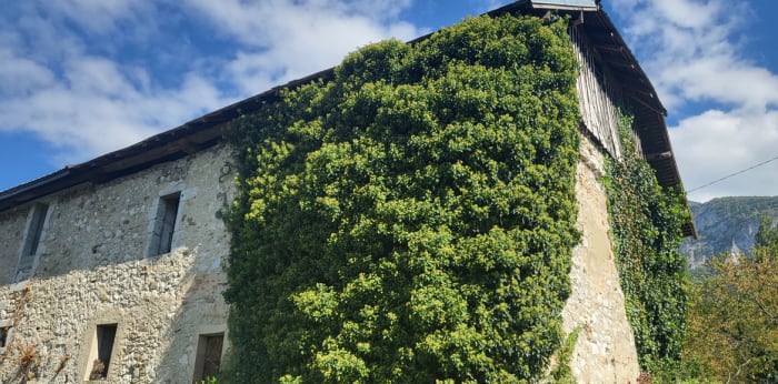 Image 1 sur 3 - Maison/villa  ·  Vente · Mery (73420) · 5 pièces · 80m²