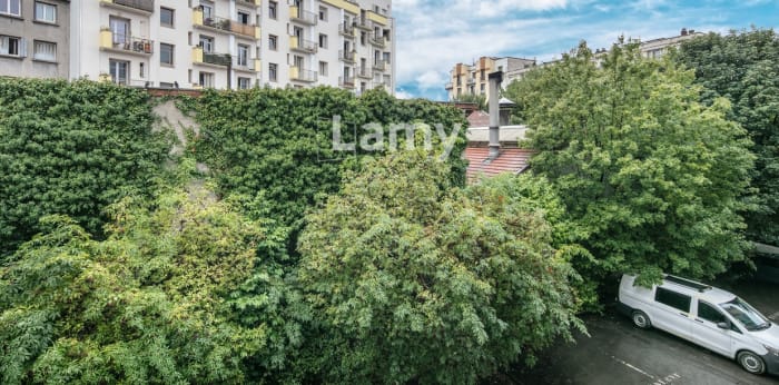 Image 10 sur 10 - Appartement  ·  Vente · Grenoble (38000) · 1 pièce · 18m²