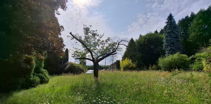 Image 5 sur 11 - Maison/villa  ·  Vente · Couzeix (87270) · 8 pièces · 199m²