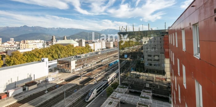 Image 7 sur 13 - Appartement  ·  Vente · Grenoble (38000) · 1 pièce · 20m²