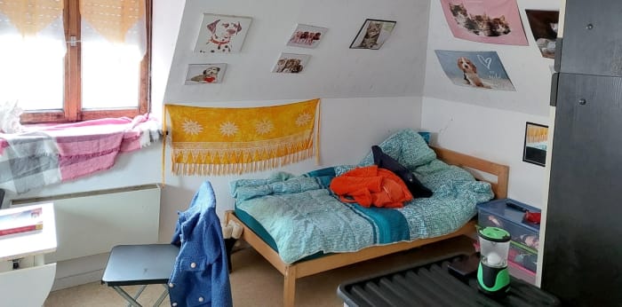 Image 6 sur 6 - Appartement  ·  Vente · Selestat (67600) · 1 pièce · 25m²