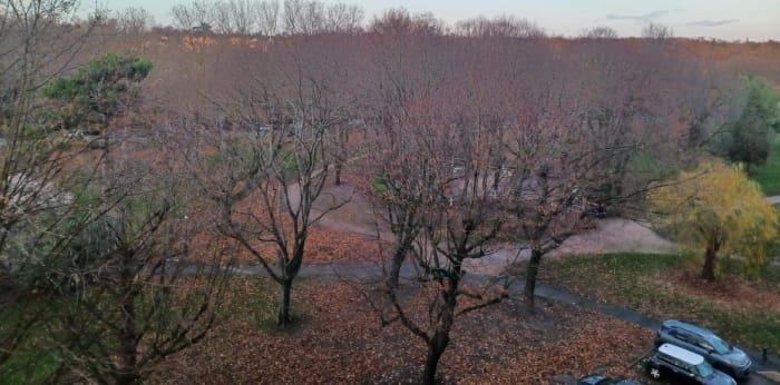 Image 1 sur 13 - Appartement  ·  Vente · Maisons Alfort (94700) · 3 pièces · 50m²