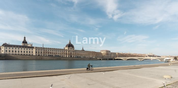 Image 10 sur 10 - Appartement  ·  Vente · Lyon (69003) · 1 pièce · 19m²