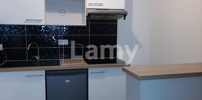 Image 3 sur 8 - Appartement  ·  Location · Asnieres Sur Seine (92600) · 2 pièces · 42m²