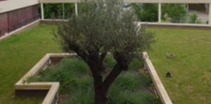 Image 5 sur 7 - Appartement  ·  Location · Montpellier (34090) · 2 pièces · 47m²