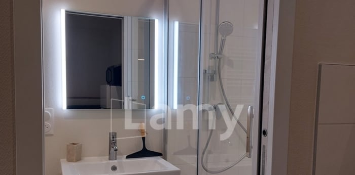 Image 5 sur 10 - Appartement  ·  Location · Lyon (69007) · 1 pièce · 20m²