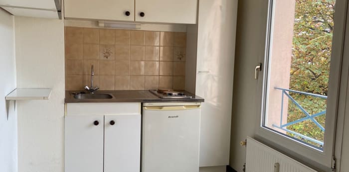 Image 5 sur 6 - Appartement  ·  Location · Selestat (67600) · 1 pièce · 29m²