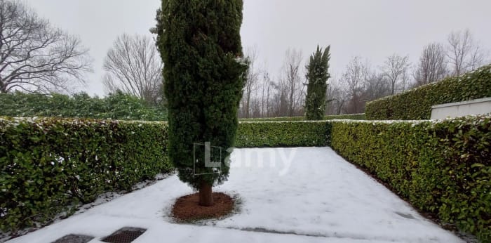 Image 3 sur 14 - Appartement  ·  Location · Meylan (38240) · 4 pièces · 89m²