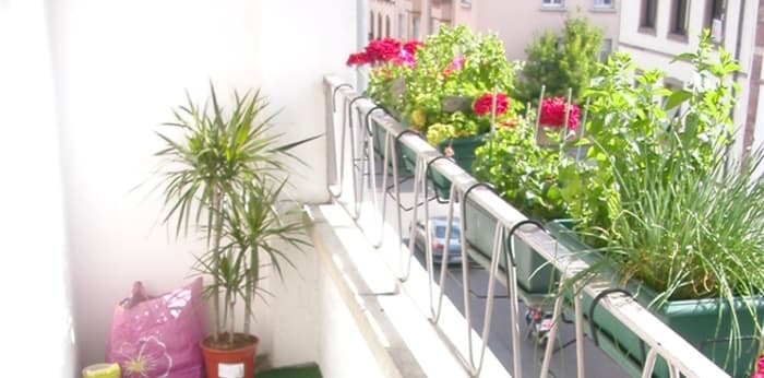 Image 5 sur 14 - Appartement  ·  Location · Colmar (68000) · 3 pièces · 68m²