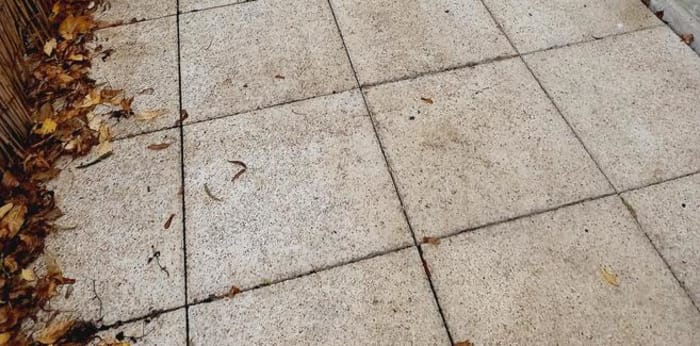 Image 4 sur 9 - Appartement  ·  Location · Tours (37200) · 2 pièces · 50m²