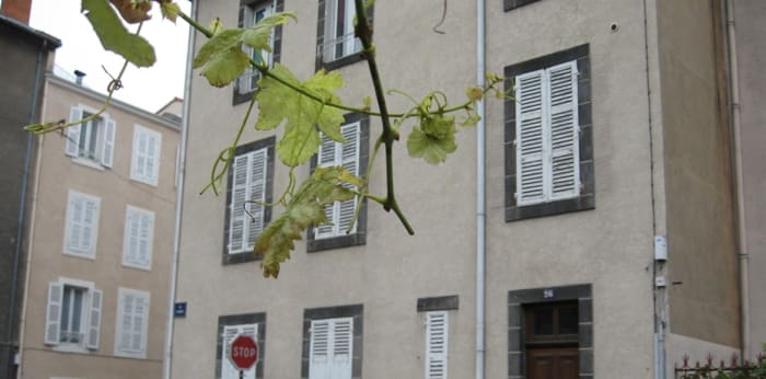 Image 6 sur 6 - Appartement  ·  Location · Clermont Ferrand (63000) · 1 pièce · 27m²
