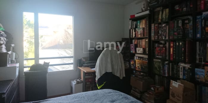 Image 2 sur 5 - Appartement  ·  Location · Nantes (44100) · 2 pièces · 41m²