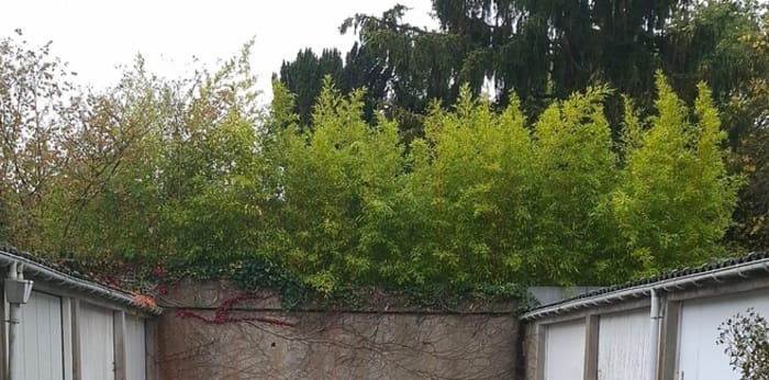 Image 18 sur 18 - Appartement  ·  Location · Nantes (44100) · 76m²