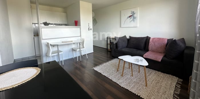 Image 1 sur 8 - Appartement  ·  Location · Toulouse (31500) · 1 pièce · 35m²