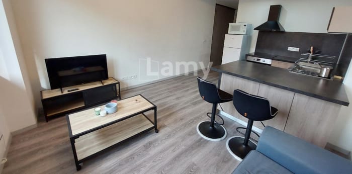 Image 2 sur 10 - Appartement  ·  Location · Grenoble (38100) · 2 pièces · 38m²