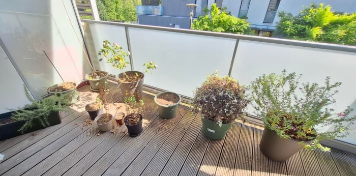 Image 5 sur 8 - Appartement  ·  Location · Vannes (56000) · 2 pièces · 45m²