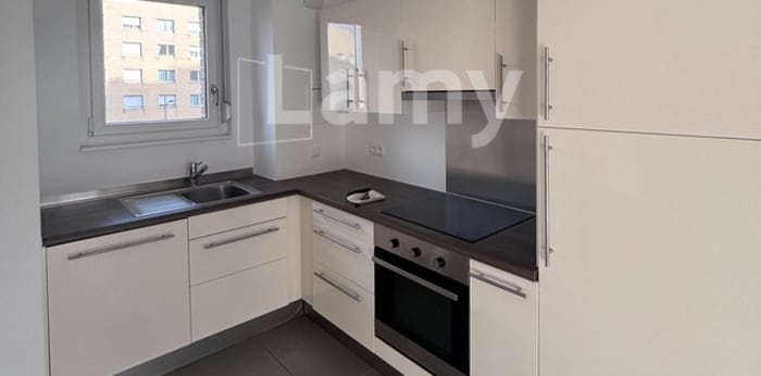 Image 4 sur 12 - Appartement  ·  Location · Strasbourg (67000) · 3 pièces · 61m²