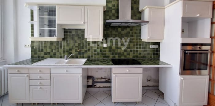 Image 4 sur 11 - Appartement  ·  Location · Grenoble (38000) · 5 pièces · 176m²