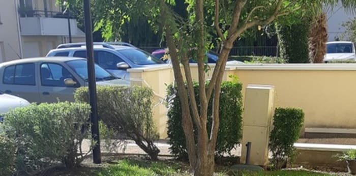 Image 1 sur 8 - Appartement  ·  Location · Notre Dame D Oe (37390) · 2 pièces · 47m²