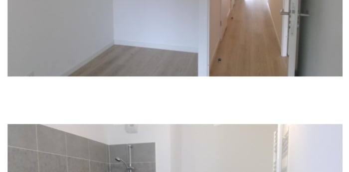 Image 5 sur 6 - Appartement  ·  Location · Romainville (93230) · 4 pièces · 88m²