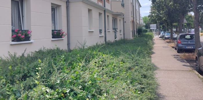 Image 9 sur 10 - Appartement  ·  Location · Voisins Le Bretonneux (78960) · 1 pièce · 31m²