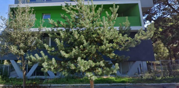 Image 5 sur 7 - Appartement  ·  Location · Nantes (44100) · 1 pièce · 32m²