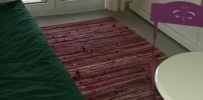 Image 1 sur 4 - Appartement  ·  Location · Mulhouse (68200) · 1 pièce · 19m²