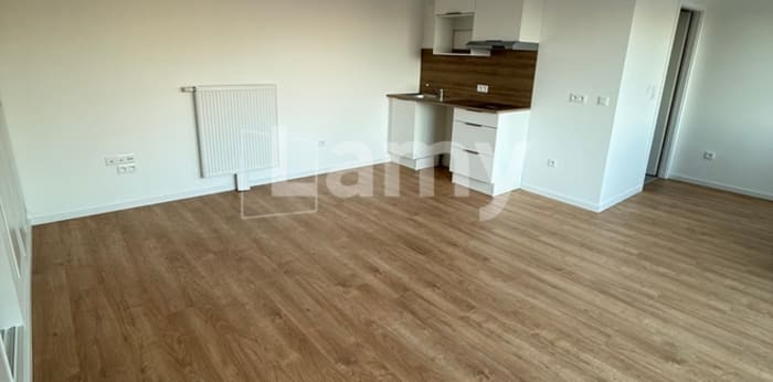 Image 3 sur 6 - Appartement  ·  Location · Strasbourg (67200) · 1 pièce · 31m²