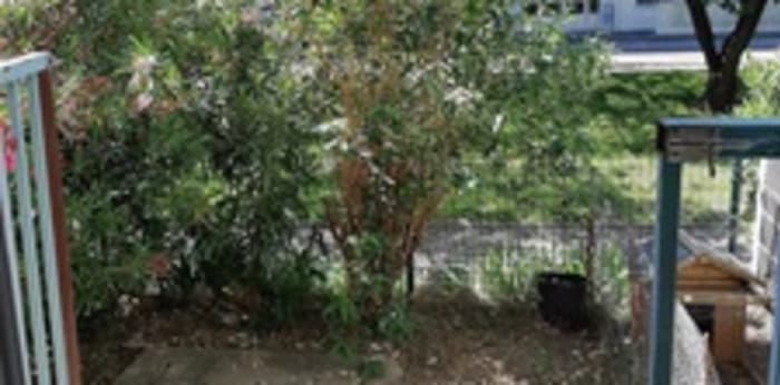 Image 7 sur 7 - Appartement  ·  Location · Orange (84100) · 3 pièces · 59m²